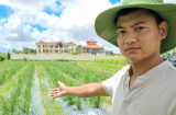 Nghề lạ ở Việt Nam: Bỏ phố về quê trồng cỏ lạ, kiếm hàng chục triệu mỗi tháng