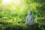 Phật dạy '5 điều không' để hậu vận phúc đức dồi dào, đời sau hưởng lộc