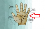 Thần Tài đánh dấu: Lòng bàn tay có 4 dấu hiệu này chủ nhân vận đỏ như son, sớm muộn cũng thành tỷ phú