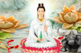 Hoa rơi cửa phật: 3 tuổi được Phật Bà Quan Âm che chở có đức có phần, càng ngày càng giàu có