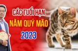 4 tuổi hạn nặng năm Quý Mão 2023: 2 tuổi vừa Tam Tai và Thái Tuế xui rủi đủ đường, 1 tuổi giàu to