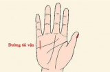 Lòng bàn tay có 3 dấu hiệu này, cả  nam và nữ đều được lộc trời cho, ba đời giàu sang nứt vách