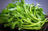 3 loại rau xanh là ‘vua’ bảo vệ dạ dày, có loại chỉ vài nghìn/mớ