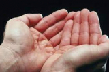 Người phúc mỏng, phận bạc thường có 4 đặc điểm này trong lòng bàn tay, có 1/4 cũng đủ khổ