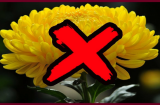 4 loại hoa để trên bàn thờ là mất lộc, ngày Rằm mùng 1 gia chủ chớ mua về