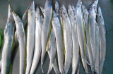 Người bán cá tiết lộ: Đi chợ thấy 5 loại cá này mua ngay về, cá tự nhiên sạch 100% không lo hóa chất