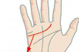 Lòng bàn tay có 5 dấu hiệu này, dù nam hay nữ đều có phúc khí ngút trời, hôn nhân viên mãn