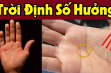 Dù nam hay nữ lòng bàn tay có 4 dấu hiệu này: Trời định số hưởng, chẳng lo thiếu tiền tiêu về sau