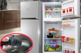 Tủ lạnh có 1 cơ quan nhỏ, tháo ra lau một lần tiết kiệm cả triệu tiền điện