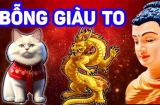 Phật tổ dang tay che chở: 4 tuổi này vô lo vô nghĩ về tiền bạc, sống an nhàn lộc tự đến tay