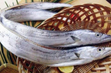 Loài cá xưa không ai ăn nay thành đặc sản bán ra nước ngoài, giá 240.000 đồng/kg