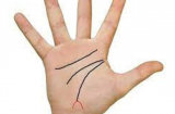 Dù nam hay nữ, lòng bàn tay có 5 dấu hiệu này kiểu gì cũng phát tài, càng già càng giàu