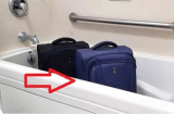 Vì sao khi nhận phòng khách sạn nên đặt vali vào nhà tắm: Nhiều người không biết mà làm theo