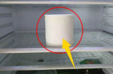 Đặt 1 cuộn giấy vệ sinh vào tủ lạnh: Mẹo hay giải quyết được nhiều rắc rối nhà nào cũng cần