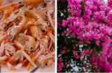 Tưới thứ ‘nước hải sản’ này cho cây: 1 tháng tưới 3 lần sẽ thấy hoa nở bung rực rỡ