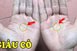 Xoè bàn tay ra xem: 5 điểm thần Tài “đánh dấu”, có số hưởng từ bé