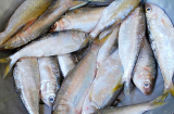 Người bán cá mách nhỏ: Đi chợ thấy 5 loại cá này, phải mua ngay, cá đánh bắt tự nhiên, vừa ngon vừa bổ