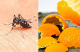 5 nguyên liệu nhà nào cũng có không ngờ giúp đuổi muỗi cực hiệu quả