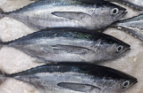 Đi chợ thấy 7 loại cá này mua ngay kẻo hết: Giàu dinh dưỡng hơn thuốc bổ, giá cả bình dân