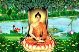 Phật dạy: 3 quả báo nhãn tiền của tội ngoại tình dù là đàn ông hay đàn bà cũng phải gánh chịu