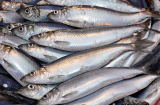 Đi chợ thấy 7 loại cá cần mua ngay: Cá tự nhiên, giá mềm, không tăng trọng, bổ ngang nhân sâm, tổ yến
