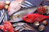 4 loại cá nhiễm thủy ngân nhiều nhất chợ: Đặc biệt loại thứ 2 nhiều người thích ăn, cực kỳ nguy hiểm