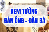 Đàn ông không mao quý như vàng, phụ nữ nhiều phúc ít mao, mao cụ thể là gì?