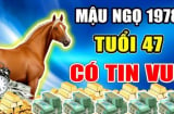 10 ngày đầu tháng 10/2024: 4 tuổi chính thức hết khổ, làm gì cũng có tiền