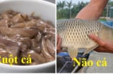 5 bộ phận bẩn nhất của cá, tích tụ toàn độc tố, số 4 nhiều người lại thích ăn