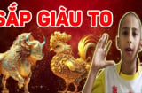 15 ngày (từ 1/1 - 15/1): 4 con giáp tựa cỗ máy in tiền, quý nhân tứ phía vây quanh