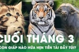 Tháng 3/2025 hoan hỷ: 3 con giáp hút tài lộc, đặc biệt Tình - Tiền đều vượng