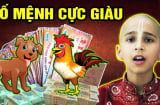 Vượt hạn Tam Tai lẫn Thái Tuế: 3 con giáp vẫn đạt đỉnh giàu sang cuối năm Ất Tỵ