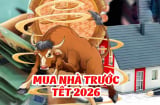 3 con giáp Hợp Vía thần Tài, tuổi 40 No Lộc, tuổi 50 cứ thế mà giàu