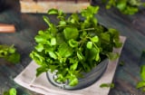 Loại rau trồng 1 lần ăn chục năm, canxi gấp đôi sữa bò, trẻ ăn vào cao lớn trông thấy