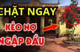 4 loại cây tưởng lành hoá dữ, chặt sớm kẻo rước họa về nhà