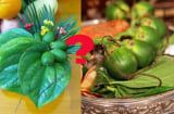 Hái bao nhiêu lá trầu, quả cau để thắp hương để Tổ tiên ưng bụng ban Lộc đề huề?