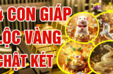 Cóc Vàng Nhả Lộc 49 ngày tới, 4 con giáp có vận số đỏ rực, làm gì cũng ra tiền