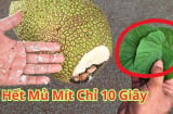 Bổ mít cứ lấy sẵn thứ này ngoài vườn, chẳng phải lo dính nhựa