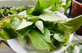 Ăn rau diếp cá theo cách này giải độc, giải nhiệt rẻ lại an toàn