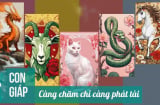 4 tuổi im ỉm Trời Thương, lộc vào đầy túi, 2 tuổi nghèo không dứt nổi