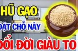 Hũ gạo đặt đúng chỗ này, Tiền Tài chảy về ào ạt