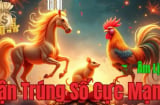 Hết hôm nay 15/10, Thu gặt lộc vàng- Đông tích kim cương: 3 tuổi Buôn Một Vốn Bốn Lời