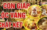 Lộc - Vàng lấp lánh: 3 tuổi từ Công Hoá Phượng, bội thu tiền tài
