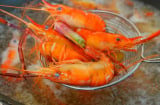 Đổ nước vào luộc tôm vừa trắng vừa tanh: Muốn tôm ngọt, đỏ đều cứ dùng 1 thứ
