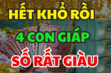 Hết ngày 19/11, 3 tuổi Tiền Của Nối Đuôi nhau về