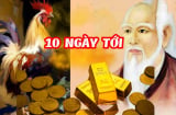 Liên tiếp 10 ngày (21/11-30/11): 3 con giáp Tiền đổ về như thác cuốn