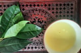 Cách hãm nước chè tươi uống mát gan, bổ thận