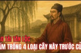 4 loài cây chặn cửa thần Tài, cây càng xanh tốt Tiền càng đi xa