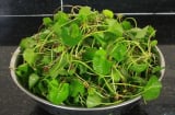 3 loại rau là 'thuốc bổ gan tự nhiên', chợ bán chỉ 10 nghìn/bó