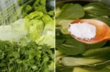 Rau ngâm nước muối bao lâu là sạch thuốc mà vẫn xanh giòn?